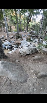 Eaton Canyon Falls by null