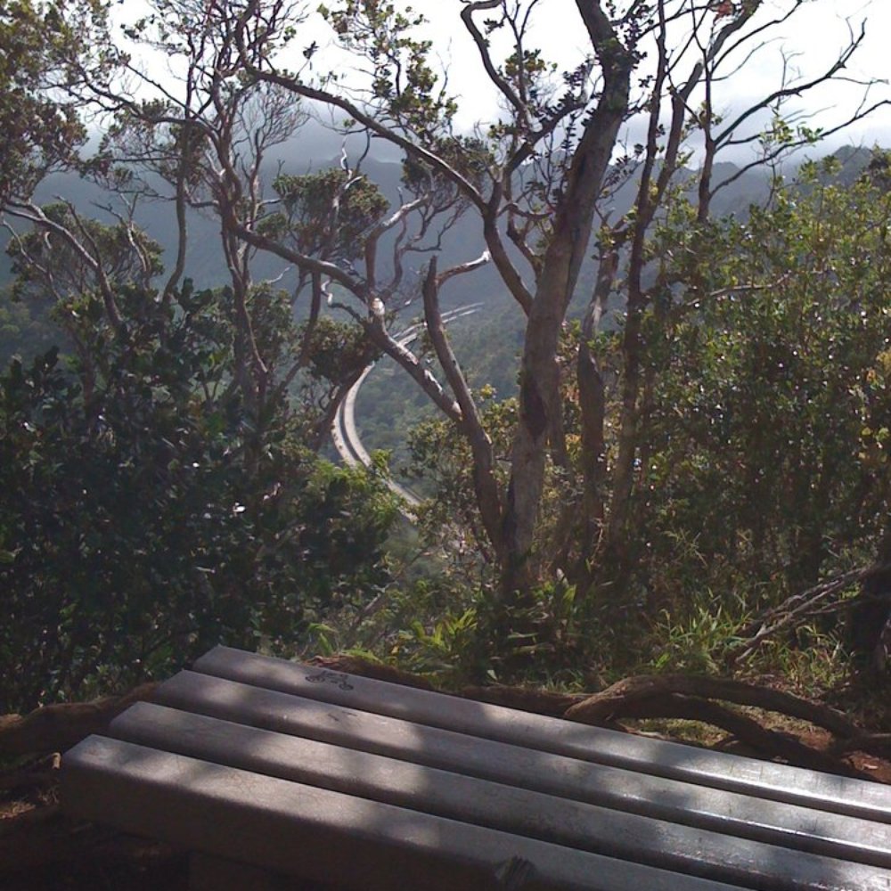 Aiea Loop Trail - view of H3 - Hiking Near Me - Aiea, Hawaii