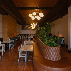 The Hive Social - Interior
