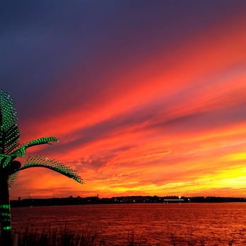 De Lazy Lizard - American Near Me - Ocean City, Maryland De Lazy Lizard - American Near Me - Ocean City, Maryland