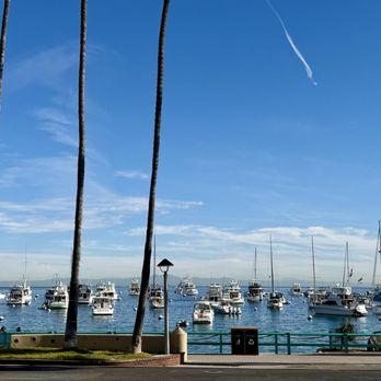 Catalina Island - Local Flavor Near Me Catalina Island - Local Flavor Near Me