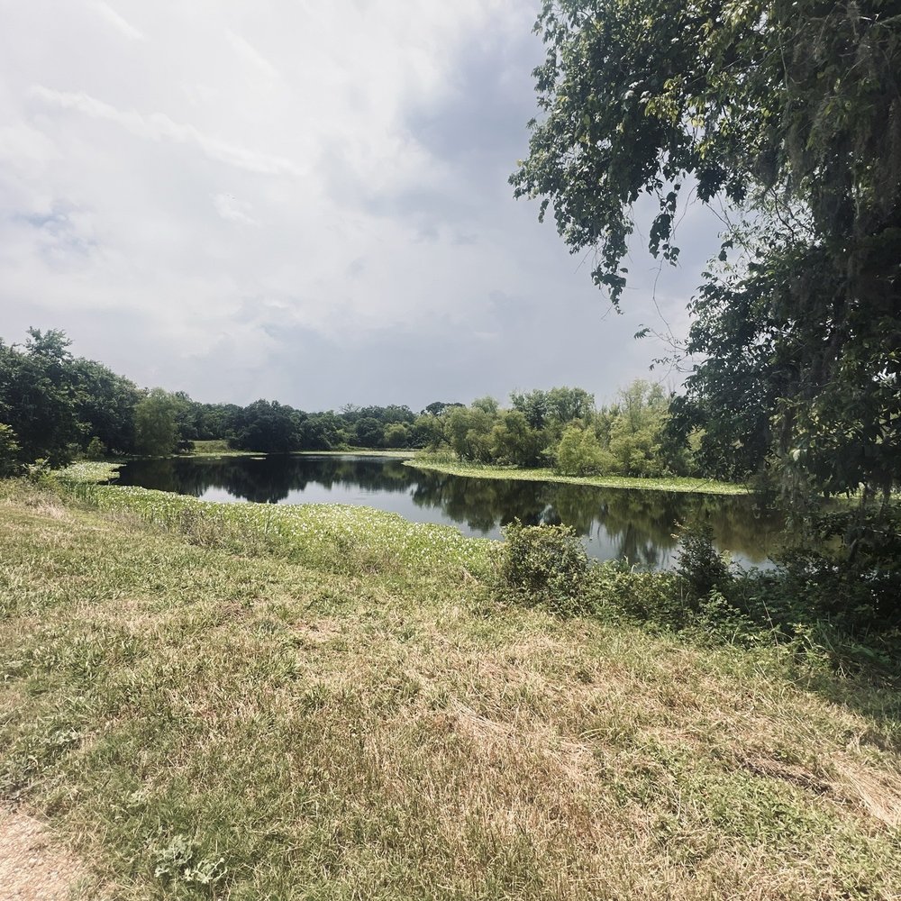 Brazos Bend State Park - View - Parks Near Me - Needville, Texas