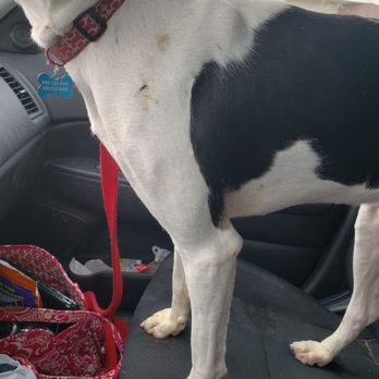PetSmart - Dirty per usual - Pet Stores Near Me - Crystal Lake, Illinois