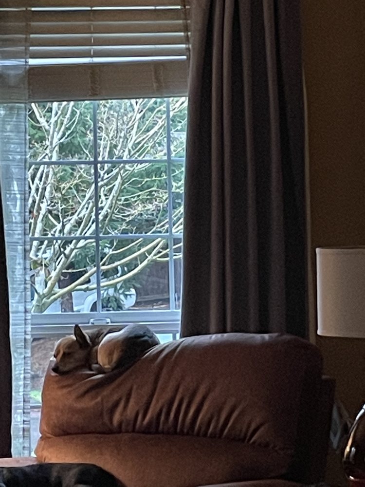 LAZBOY HOME FURNISHINGS & DÉCOR 34 Reviews 2800 NW Town Center Dr, Beaverton, Oregon