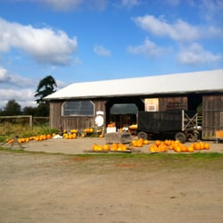 Horse Drawn Farm