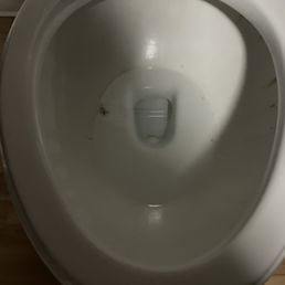 Uncleaned toilet with bodily hair and fluid stains Uncleaned toilet with bodily hair and fluid stains