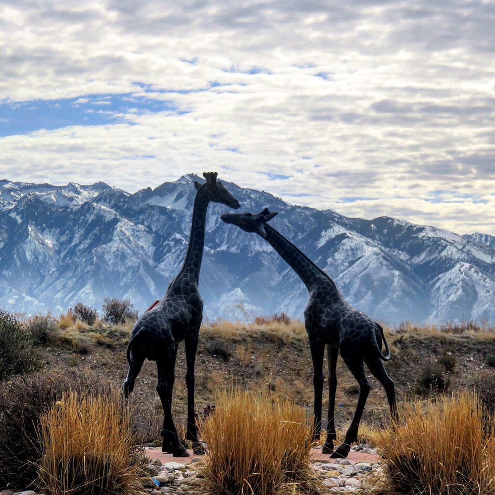 SERENGETI SPRINGS Updated October 2024 22 Photos 7898 Serenera Way 8012806632, West