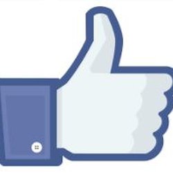 Maxwell's Flowers & Gifts - Like us on Facebook - Follow on Instagram.