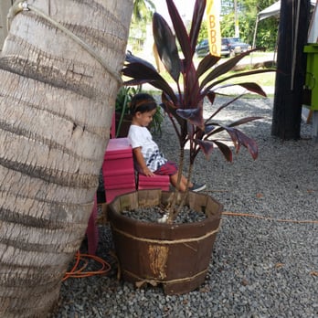 Ono Yo - Their newest worker already on break. - Ice Cream & Frozen Yogurt Near Me - Kahuku, Hawaii Ono Yo - Their newest worker already on break. - Ice Cream & Frozen Yogurt Near Me - Kahuku, Hawaii