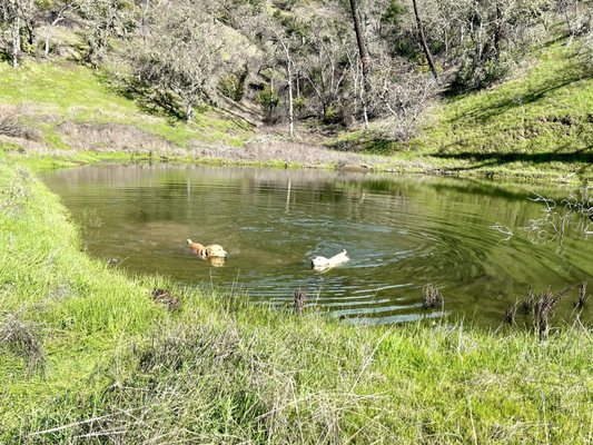 RUSTRIDGE RANCH & WINERY - Updated August 2025 - 13 Photos & 12 Reviews ...