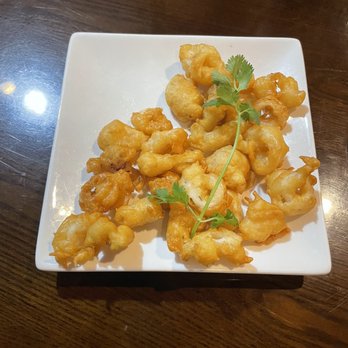 Otsuka Ramen - Fried Calamari - Ramen Near Me - Tampa, Florida