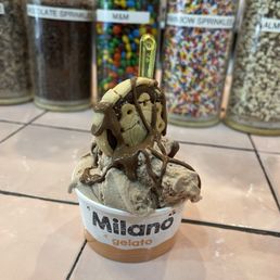 Chocolate Hazelnut Gelato Chocolate Hazelnut Gelato