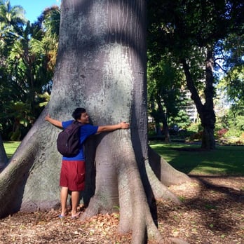 Foster Botanical Garden - The first time i went i missed these big trees, simply breathtaking. - Botanical Gardens Near Me - Honolulu, Hawaii Foster Botanical Garden - The first time i went i missed these big trees, simply breathtaking. - Botanical Gardens Near Me - Honolulu, Hawaii