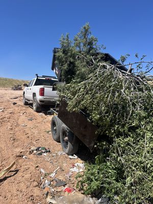 Super Junk Solutions