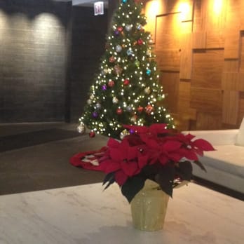 Regents Park - Lobby during holidays - Apartments Near Me - Chicago, Illinois