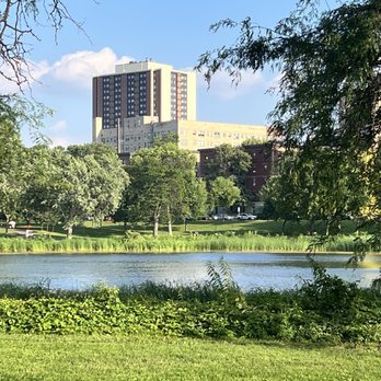 Loring Park - Dog Parks Near Me - Minneapolis, Minnesota