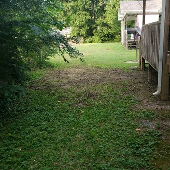 Atomic Junk Removal - Then the finish results of the brush - Junk Removal & Hauling Near Me