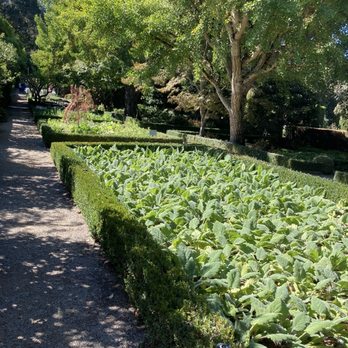 Filoli - Botanical Gardens Near Me - Woodside, California Filoli - Botanical Gardens Near Me - Woodside, California