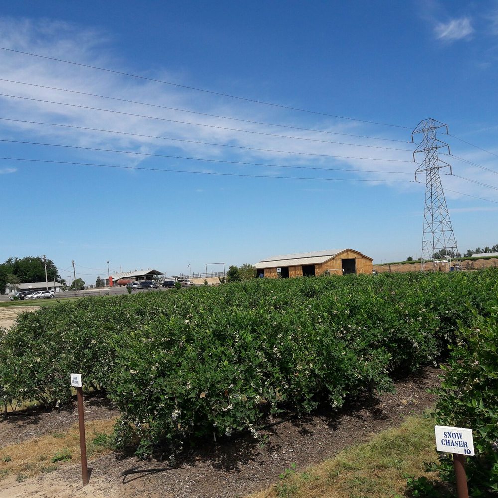 VanderHelm Farms - Farms Near Me - Modesto, California