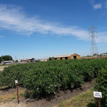 VanderHelm Farms - Farms Near Me - Modesto, California