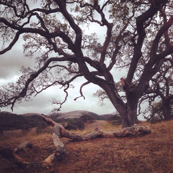 Bishop Ranch Regional Preserve - Fall day. - Hiking Near Me