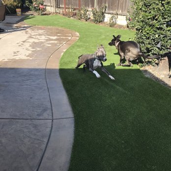 SYNLawn Bay Area - Artificial Turf Near Me - Richmond, California SYNLawn Bay Area - Artificial Turf Near Me - Richmond, California