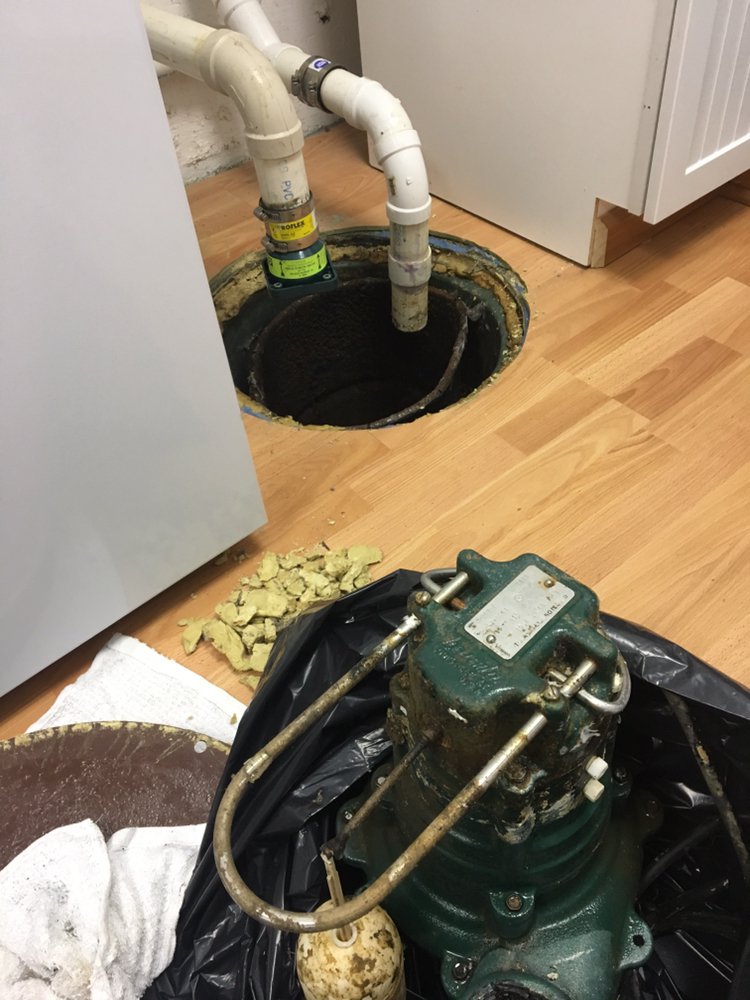 Slide of Alex Quality Services