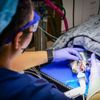 Babcock Hills Veterinary Hospital gift card