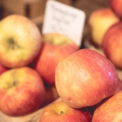 Rainbow Farms - Apples!