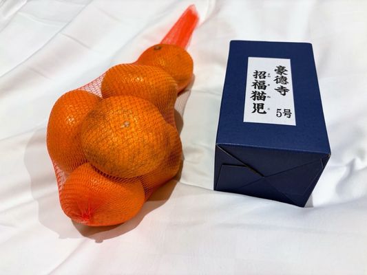 Gōtokuji Temple by null