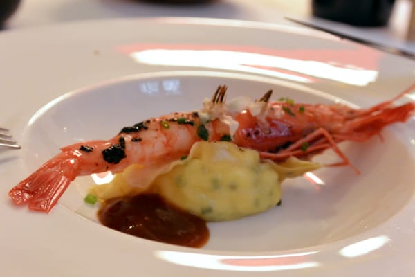 Delicat by null