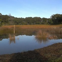 Le Roys Bush - Le Roys Bush wetland near Little Shoal Bay - taken by early morning strollers