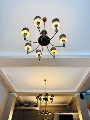 Cynergy Chiropractic Health and Wellness