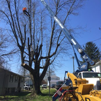 Hardwick Tree Care - Tree Services Near Me - Centerburg, Ohio Hardwick Tree Care - Tree Services Near Me - Centerburg, Ohio