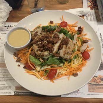 Cheddar's Scratch Kitchen - Comfort Food Near Me - Orlando, Florida Cheddar's Scratch Kitchen - Comfort Food Near Me - Orlando, Florida