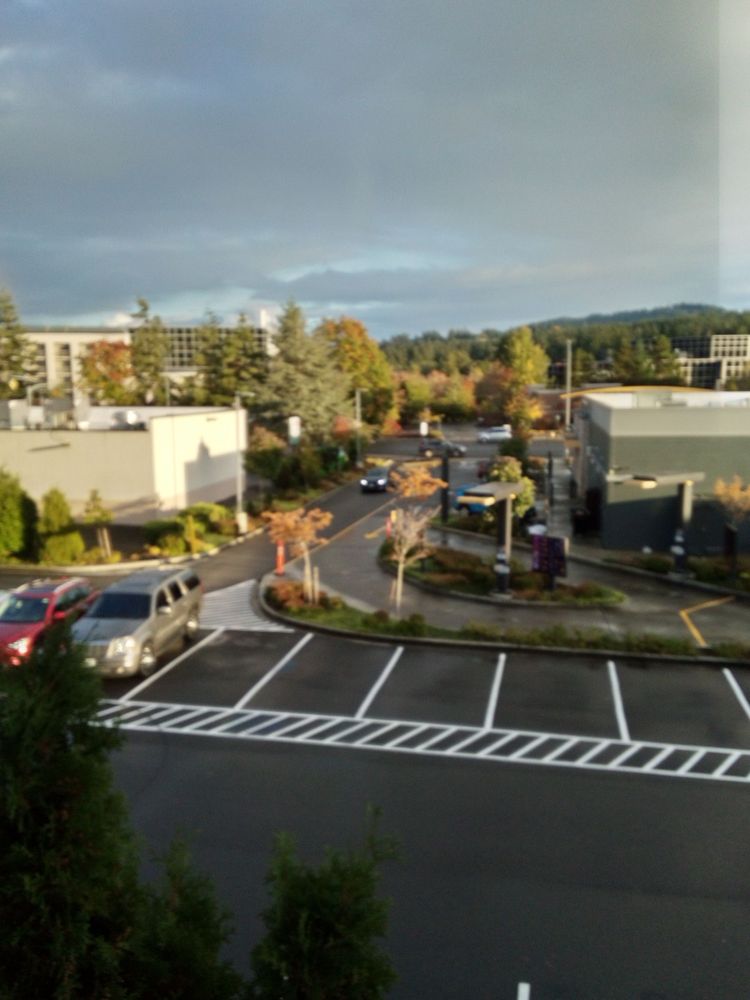 RockMeadow Equestrian Center - equestrian in Sammamish, WA