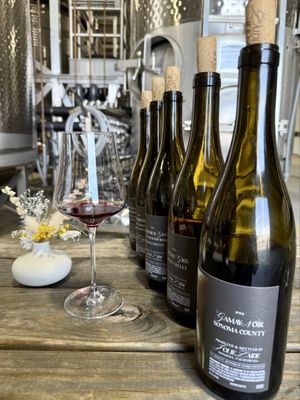 Jolie-Laide Wines by null