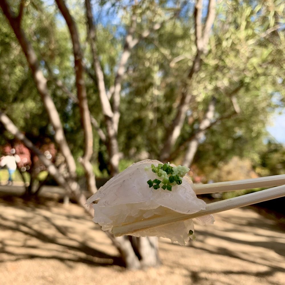 SUGARFISH | Pasadena - Sea NZ Sea Bream Sushi (1-Pc) at the park - Japanese Near Me - Pasadena, California SUGARFISH | Pasadena - Sea NZ Sea Bream Sushi (1-Pc) at the park - Japanese Near Me - Pasadena, California