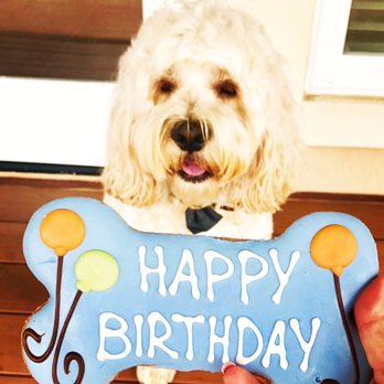 Woof's Dog Bakery - Pet Stores Near Me - Brookings, Oregon Woof's Dog Bakery - Pet Stores Near Me - Brookings, Oregon