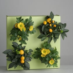 Flowerbox Gallery - Flowerbox