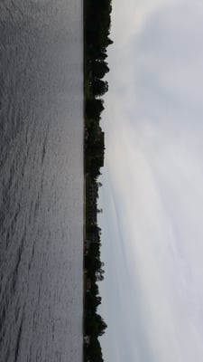 Madden's On Gull Lake by null