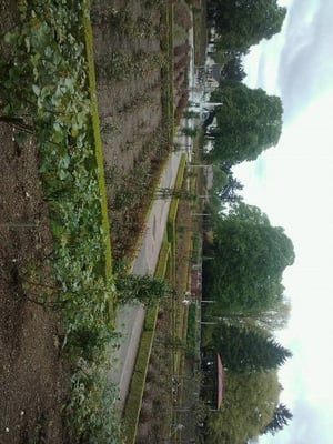 Peninsula Park Rose Garden by null