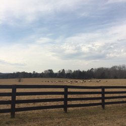 Bellair Farm CSA - Beautiful late winter pasture