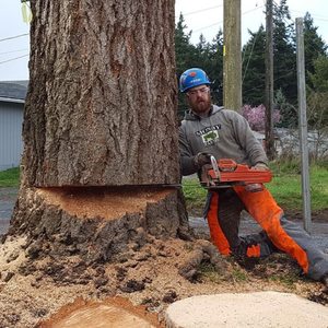 ARBOR LOGIC TREE SERVICES - Tree Services - Puyallup, WA - Phone Number