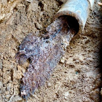 Wrench Re-Pipe - Roots from the main line - Plumbing Near Me