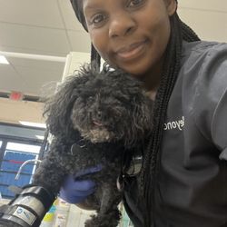 Valor Veterinary Emergency Hospital