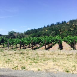 Very Nice weather in Napa Valley and of course, California ! You should come and enjoy the food in Calistoga County ! Very Nice weather in Napa Valley and of course, California ! You should come and enjoy the food in Calistoga County !