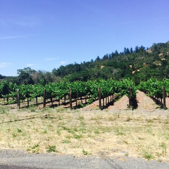 Napa Valley - Very Nice weather in Napa Valley and of course, California ! You should come and enjoy the food in Calistoga County ! - Local Flavor Near Me Napa Valley - Very Nice weather in Napa Valley and of course, California ! You should come and enjoy the food in Calistoga County ! - Local Flavor Near Me