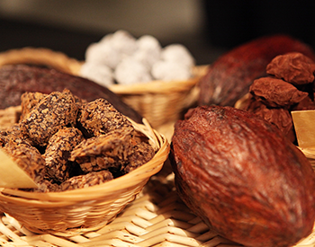 L'Atelier du Chocolat - Musée du Chocolat by null