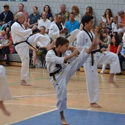 World Martial Arts - Holladay